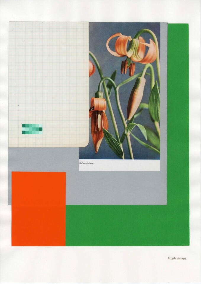 Untitled Untitled